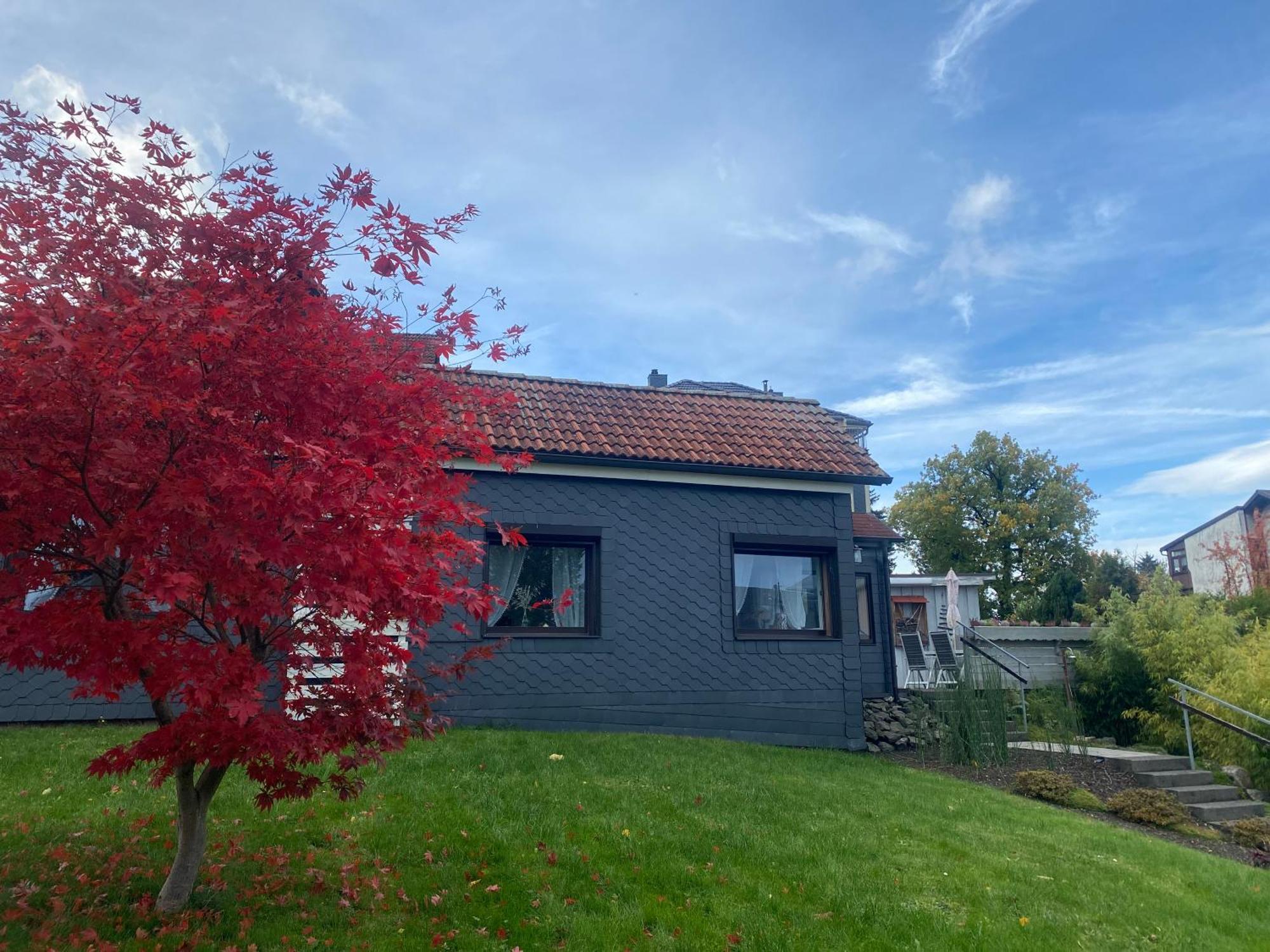 Ferienhaeuschen Gartenblick Friedrichroda Eksteriør bilde